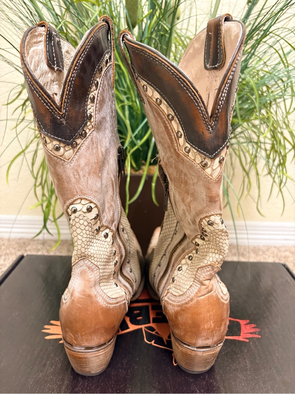 Freebird Boots - Picture 5 of 8